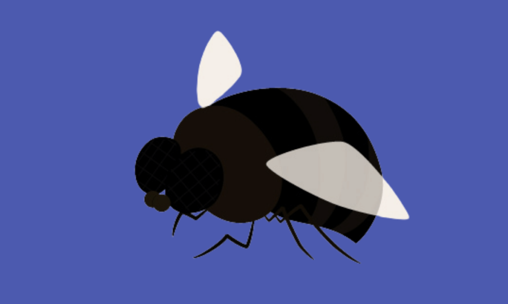 effect-of-flies-on-stag-beetles