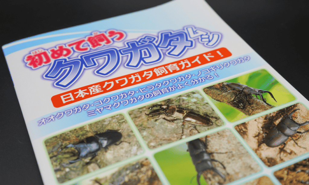 stag-beetle-breeding-supplies-recommended