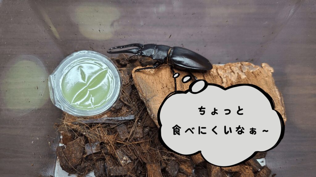 stag-beetle-jelly-cutting